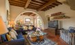 Olive Vineyards 7