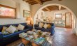 Olive Vineyards 5
