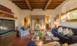 Olive Vineyards 8