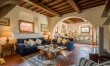 Olive Vineyards 6
