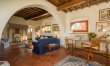 Olive Vineyards 9