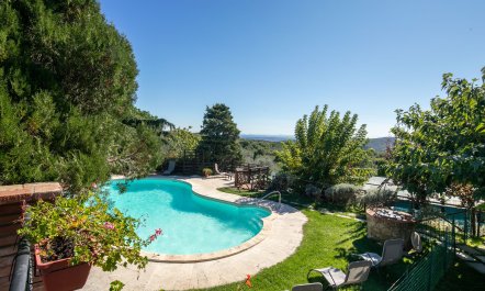 Trip To Tuscany 2