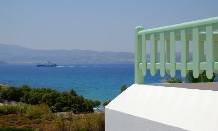 Cr&egrave;me de Menthe 3