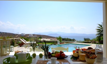 Cr&egrave;me de Menthe 2