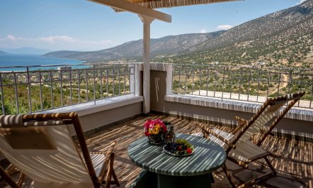 Blue Shutters & Sea Views 5