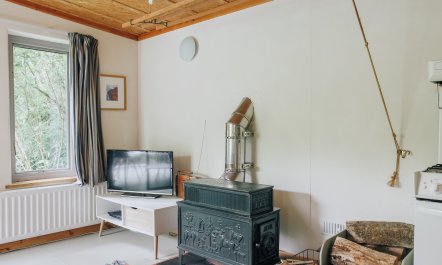 Cabin Culture 4