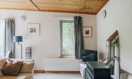 Cabin Culture 3