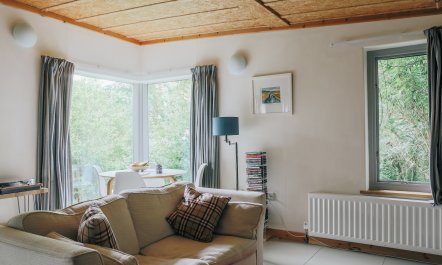Cabin Culture 5