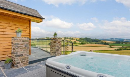 3 Bed in Montgomery 2