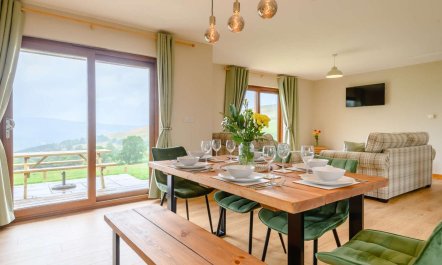 2 Bed in Llandrindod Wells 7