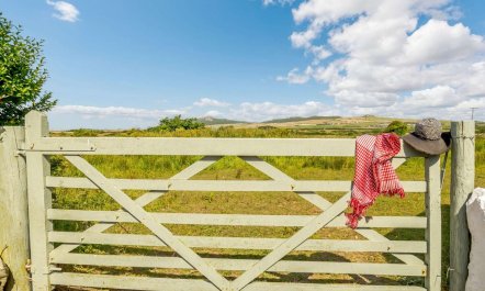 3 Bed in Haverfordwest 0