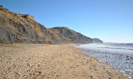 4 Bed in Bridport 3