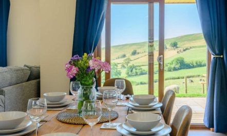 2 Bed in Llandrindod Wells 3