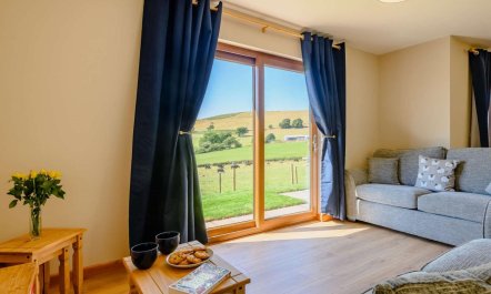 2 Bed in Llandrindod Wells 1