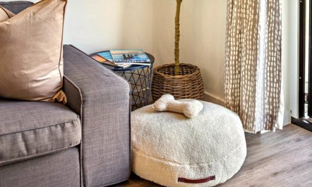 3 Bed in Westward Ho 3