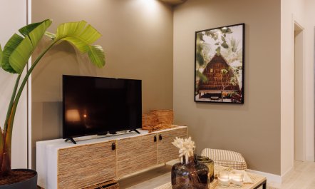 Palm Prince 3