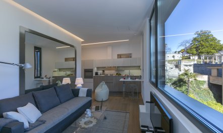 Blue Mountain View 3