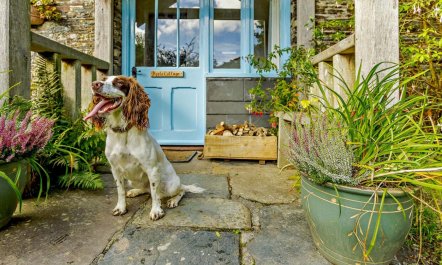 3 Bed in Launceston 1