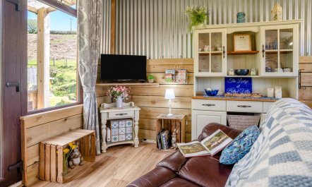 1 Bed in Llandovery 8
