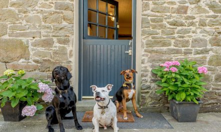 1 Bed in Llandysul 1