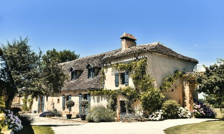 La Figue