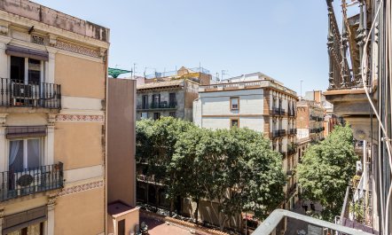 Mat&oacute; de Monja 1