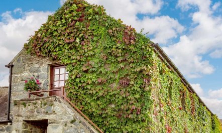 1 Bed in Dyffryn Ardudwy 1