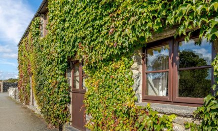 2 Bed in Dyffryn Ardudwy 1