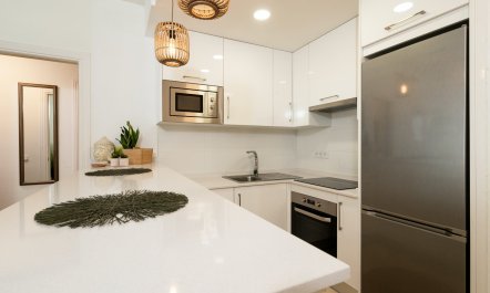 Coastal Boast 6