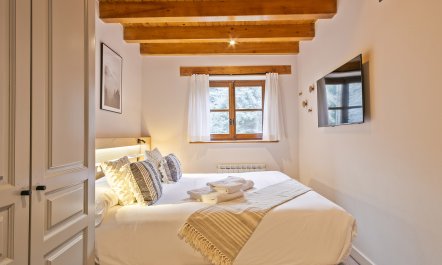 Snowflakes on Stone 2