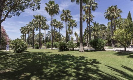 Your Algarve Oasis 5