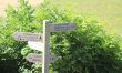 3 Bed in Beaminster 4