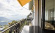 Lemon On The Mountain 1