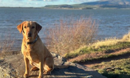 5 Bed in Askam-in-Furness 3