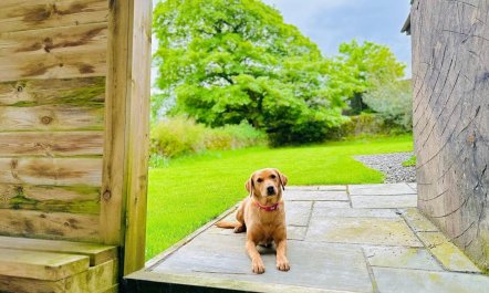 4 Bed in Broughton-in-furness 4