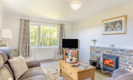 3 Bed in Holsworthy 8