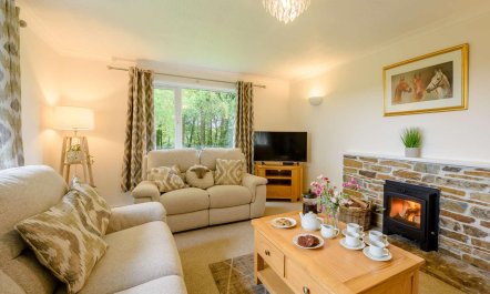 3 Bed in Holsworthy 5