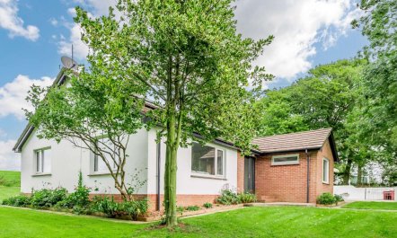 3 Bed in Holsworthy 4