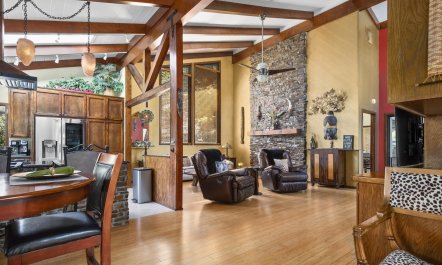 Redwood & Palm 2