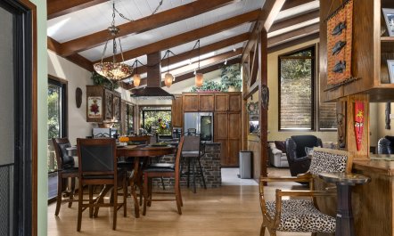 Redwood & Palm 3