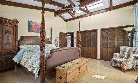 Redwood & Palm 8