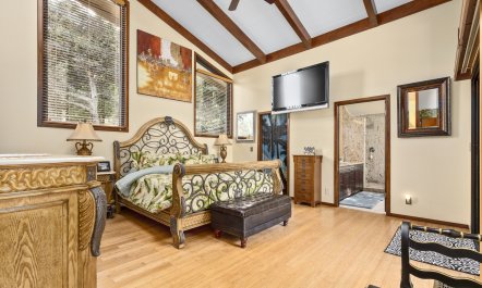 Redwood & Palm 5