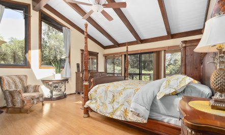 Redwood & Palm 9
