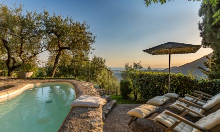 Under The Olive Tree 2