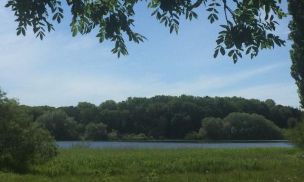 2 Bed in Chew Magna 1