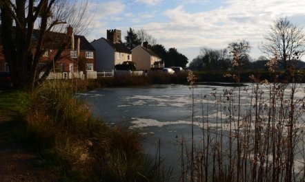 2 Bed in Norwich 5