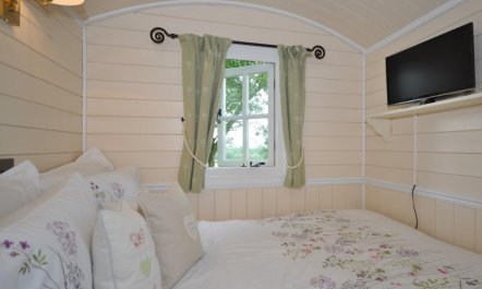 1 Bed in Hereford 4