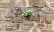 1 Bed in Ashbourne 8