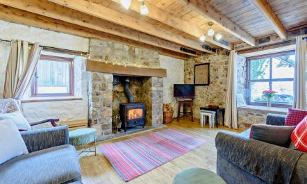 3 Bed in Swansea 1