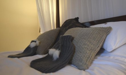 1 Bed in Newcastle Upon Tyne 8
